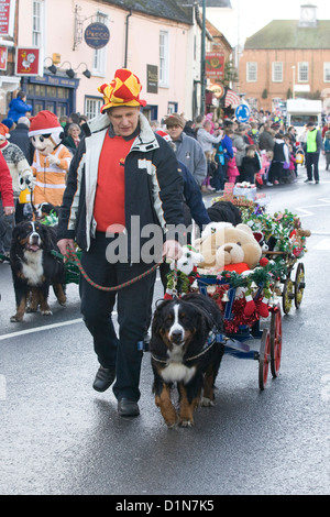 Bernois tirant une charrette à travers la place du marché pour le défilé de Noël de Buckingham Canis lupus familiaris Banque D'Images