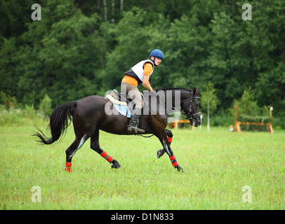 Horse Rider à la compétition de la phase de cross-country Banque D'Images