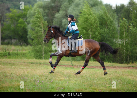 Horse Rider à la compétition de la phase de cross-country Banque D'Images