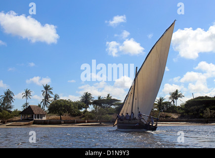 Bateau à voile sur l'archipel de Lamu, l'île de Lamu, Kenya, Afrique de l'Est Banque D'Images