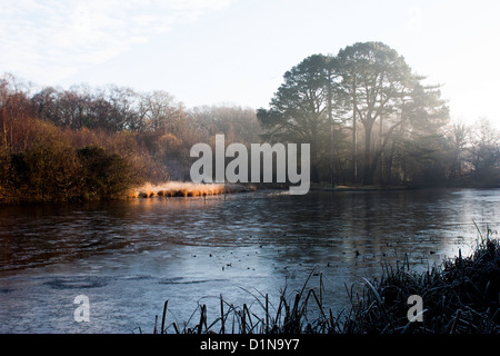 Commune de Southampton atmosphérique Banque D'Images