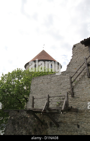 La tour de la jeune fille (est à droite du mur de la ville) avec Kiek in de Kök dans l'arrière-plan - Tallinn Estonie Banque D'Images