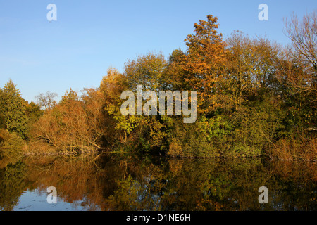 L'automne coloré arbres se reflétant dans l'eau. Banque D'Images