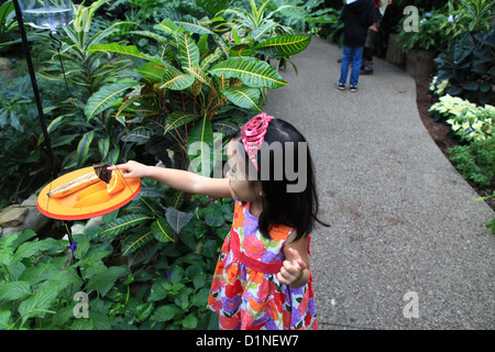 Les enfants à Cambridge Butterfly Conservatory, Ontario, Canada Banque D'Images