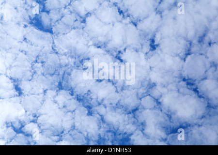 Fond de Ciel bleu avec des nuages blancs Banque D'Images