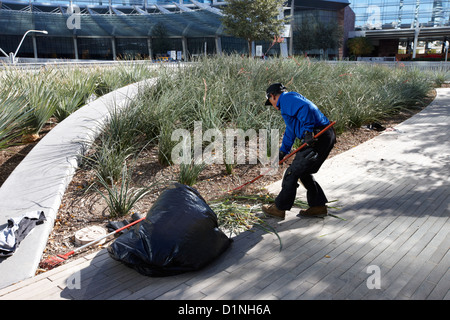 Jardinier hispaniques ayant tendance jardin public dans le complexe citycenter Las Vegas NEVADA USA Banque D'Images