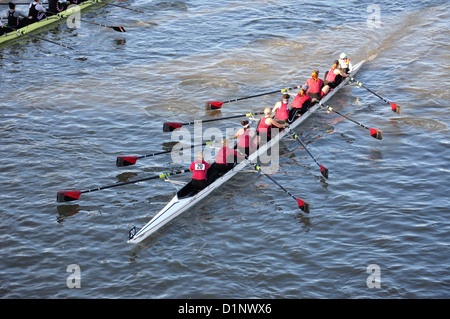 Les courses d'aviron sur la Tamise, Hammersmith, London Borough of Hammersmith et Fulham, Greater London, Angleterre, Royaume-Uni Banque D'Images