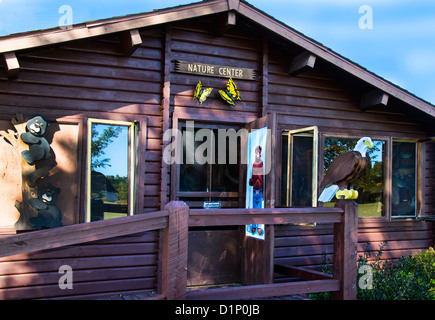 Le Centre de la Nature au Camp 5 Camp de bûcherons dans la région de Laona, Wisconsin Banque D'Images