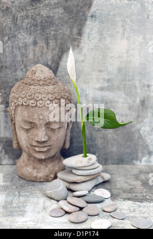 Tête de Bouddha en pierre sculpture photographié avec une fleur blanche et de pierres. Banque D'Images
