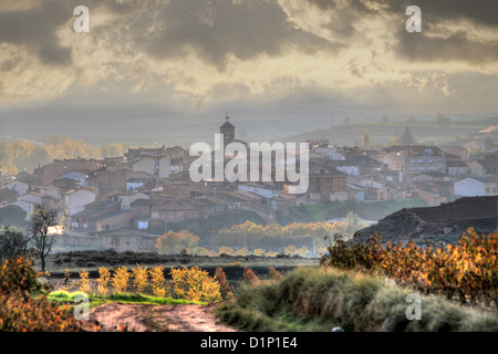 Un village de Badaran vignobles, Cardenas, vallée de la région viticole de Rioja, Espagne, Europe Banque D'Images