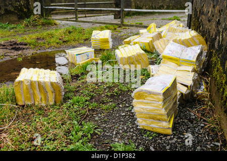 Pile d'annuaires téléphoniques Pages Jaunes déposés illégalement, dans un milieu rural lane. Banque D'Images