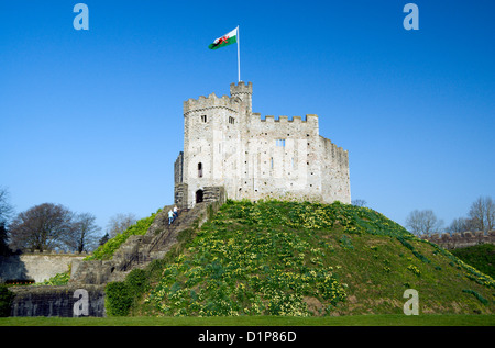 Donjon normand et des jonquilles, du château de Cardiff, Cardiff, Pays de Galles, Royaume-Uni. Banque D'Images