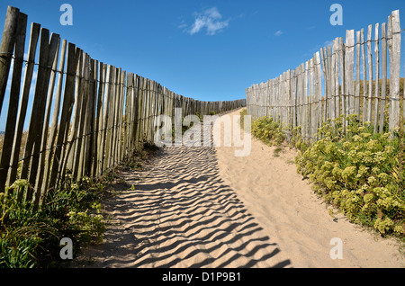 Chemin de sable dans les dunes avec une barrière en bois sur la côte sauvage de la presqu'île de Quiberon dans le morbihan en Bretagne Banque D'Images