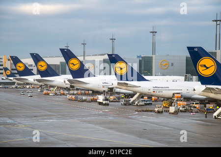 Les avions de la Lufthansa à l'aéroport de Francfort, Francfort, Hesse, Allemagne Banque D'Images