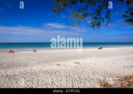 La plage de sable blanc sur Anna Maria Island, en Floride Banque D'Images