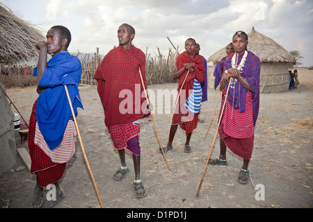 Worriers massaï ou des hommes comme vu dans Olpopongi Village culturel Maasai et le cratère du Ngorongoro en Tanzanie;l'Afrique de l'Afrique; Banque D'Images