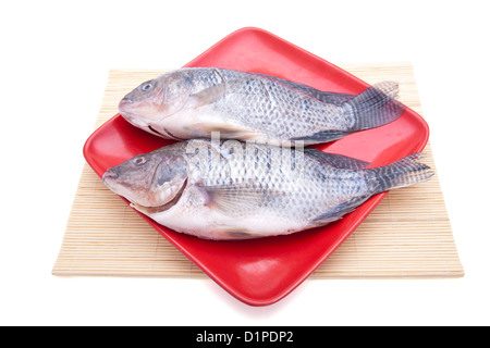 Deux carassins on plate Banque D'Images