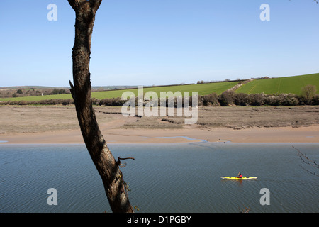 Un pagayeur pagaies de kayak sur la rivière à côté du chameau Camel Trail, North Cornwall. Banque D'Images