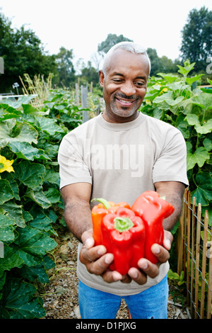 Black man holding poivrons dans le jardin communautaire Banque D'Images