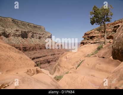 Grand Canyon vu depuis le sentier Hermit. Banque D'Images