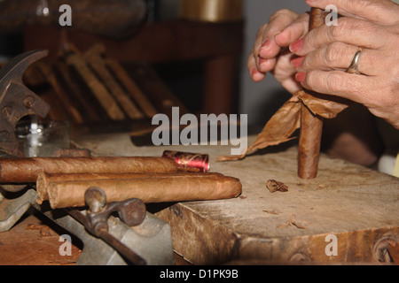 Matériel roulant la main un cigare à Cuba Banque D'Images