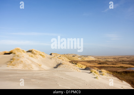 Plage des dunes, cultivé avec de l'herbe, dans l'arrière-plan un marais. Banque D'Images