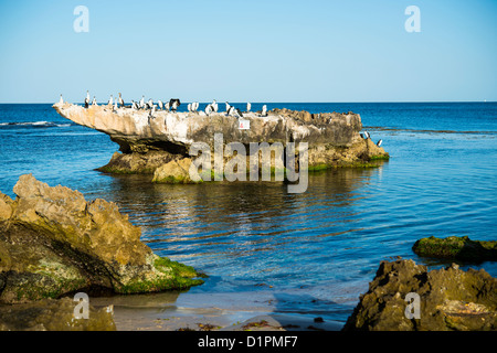 Trigg Island Beach Perth Western Australia Banque D'Images