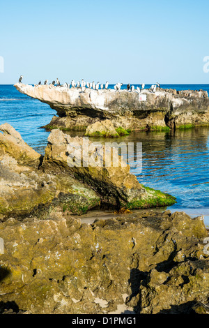 Trigg Island Beach Perth Western Australia Banque D'Images