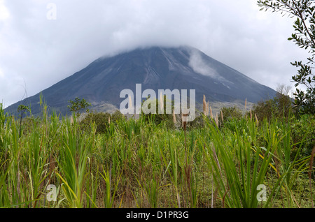 Le Volcan Arenal, Parc National du Volcan Arenal, la Fortuna, Alajuela, Costa Rica Banque D'Images