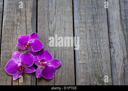 Orchid sur planches en bois vintage background abstract cosmétique Spa Banque D'Images