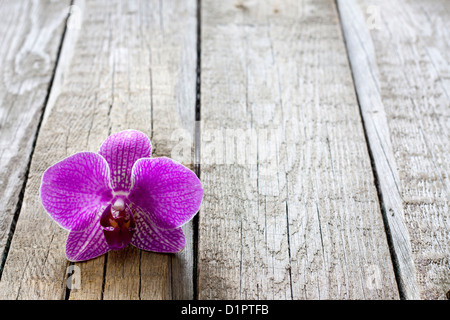 Orchid sur planches en bois vintage background abstract cosmétique Spa Banque D'Images