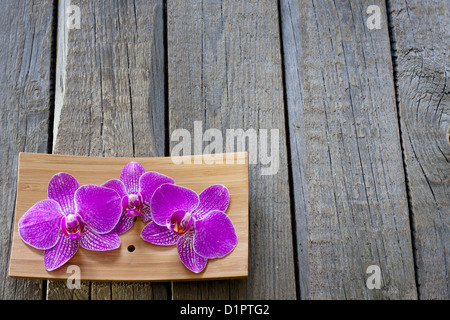 Orchidées sur des planches cosmétique spa abstract background vintage creative concept still life Banque D'Images