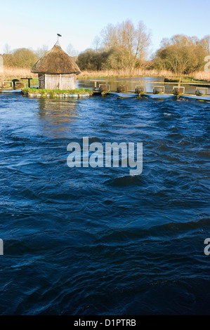 Toit de chaume fishermans hut et pièges de l'autre côté de la rivière Eel, Test Longstock, Hampshire, England, UK Banque D'Images