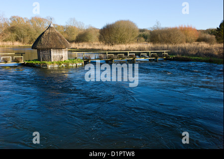 Test de la rivière, Longstock, Hampshire, England, UK - toit de chaume fishermans hut et les pièges de l'anguille Banque D'Images