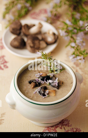 Soupe aux champignons agarics gris (soupe) Banque D'Images