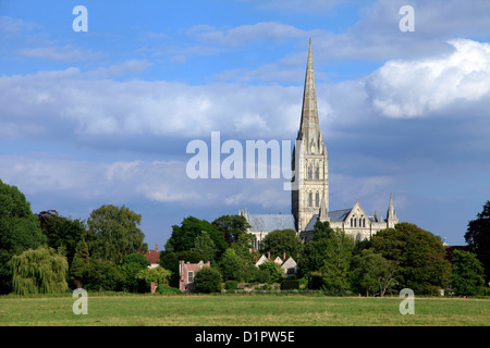 La cathédrale de Salisbury photographié à partir de l'eau prairies en été. Banque D'Images