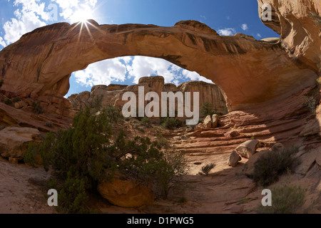 Hickman Bridge, Capitol Reef National Park, Utah, USA Banque D'Images