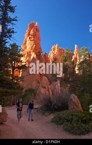 Randonneurs sur le sentier en boucle Navajo, Bryce Canyon National Park, Utah, USA Banque D'Images