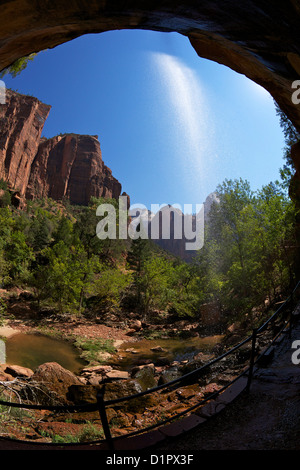 Emerald Pool inférieur, Emerald Pools Trail, Zion National Park, Utah, USA Banque D'Images