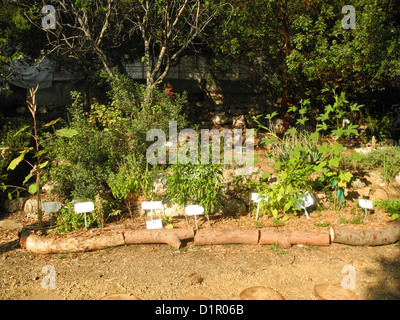 Eco jardin jardinage biologique et l'agriculture, projet Hiafa, Israël Banque D'Images