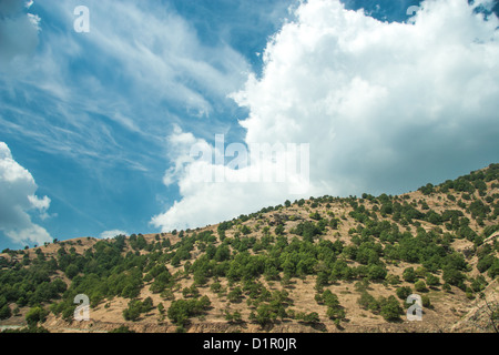 Sur la montagne - Parc National Olympus, Grèce Banque D'Images