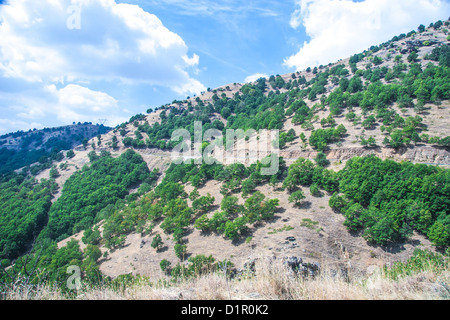 Sur la montagne - Parc National Olympus, Grèce Banque D'Images