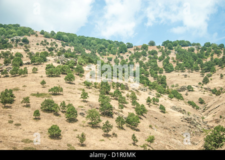 Sur la montagne - Parc National Olympus, Grèce Banque D'Images