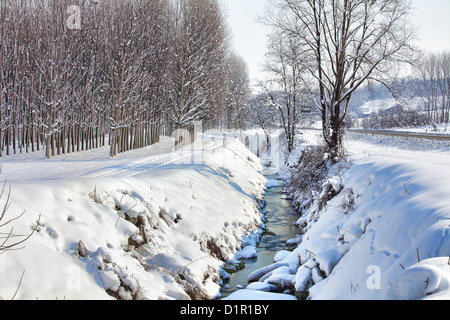 Petit ruisseau coule à travers congères situées le long des arbres sur le terrain rural couvert par la neige à l'hiver en Piémont, Italie du Nord. Banque D'Images