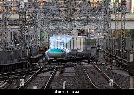 Le Tohoku Shinkansen E5 Hayabusa série ligne ferroviaire à grande vitesse arrive à la gare de Tokyo, Japon Banque D'Images