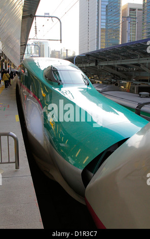 L'accouplement Tohoku Shinkansen E5 Hayabusa série ligne ferroviaire à grande vitesse à la gare de Tokyo Japon Banque D'Images