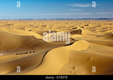 Le Maroc, M'Hamid, Erg Chigaga dunes de sable. Désert du Sahara. Caravane de chameaux et chameliers. Banque D'Images