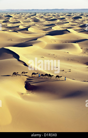 Le Maroc, M'Hamid, Erg Chigaga dunes de sable. Désert du Sahara. Caravane de chameaux et chameliers. Banque D'Images