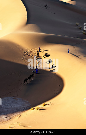 Le Maroc, M'Hamid, Erg Chigaga dunes de sable. Désert du Sahara. Caravane de chameaux et chameliers. Banque D'Images