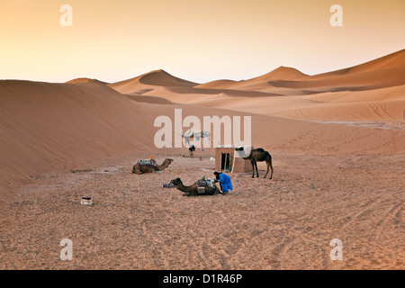 Le Maroc, M'Hamid, Erg Chigaga dunes de sable. Désert du Sahara. Bivouac de camel-pilote. Banque D'Images